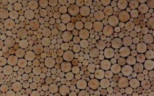 Log background